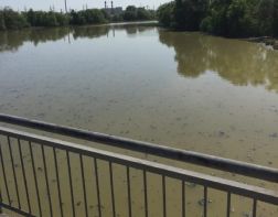 В Пензе проверят причины загрязнения р. Старая Сура