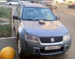 В Спутнике водителя, припарковавшегося на тротуаре, наказали плиткой на капоте
