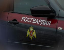 В Пензе задержали хулиганов, избивших курьера службы доставки
