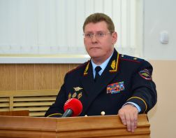 Начальник полиции рассказал о нелепых детских смертях