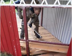 Пензенские спасатели избавили воспитанников детского сада от ос
