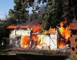 Во время пожара в пензенском сарае сгорела собака с щенками