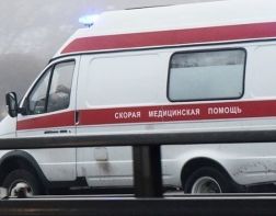 Три смерти: на полевой дороге иномарка врезалась в дерево