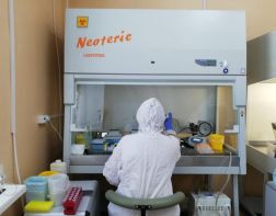 В Пензенской области 73 новых случая заражения коронавирусом