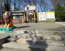 С 19 апреля пензенский зоопарк перешел на весенний режим