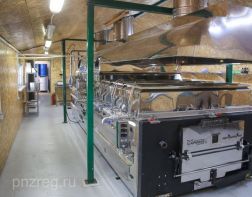 В Пензенской области открыли цех по производству кленового сиропа