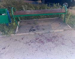 В Заречном мужчина убил пристававшего к его собаке и супруге местного жителя