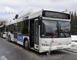 В Пензе планируют купить 20 автобусов