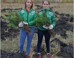 Пензенцев приглашают принять участие в акции «ПосадиЛес»