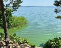 Пензенцам объяснили, почему позеленело Сурское водохранилище