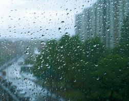 В Пензенскую область пришла дождливая погода