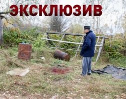 "Вова уже лежал на боку, а медведь отрывал от его лица мясо и жрал", — житель Золотаревки