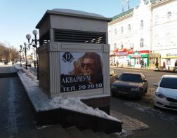 Борис Гребенщиков из-за болезни не сможет приехать в Пензу в апреле