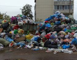 На Ново-Казанской выросли мусорные горы 