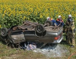 На дороге Пенза-Шемышейка в ДТП погибли три человека