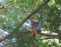 Во дворе дома на Суворова 11-летний мальчик не смог спуститься с дерева