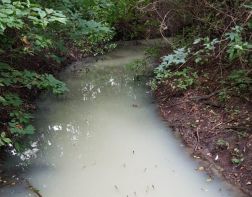 Из молочной реки в Чемодановке взяли пробы воды 