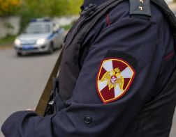 В Заречном задержали мужчину с ружьем