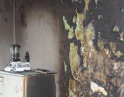 В Пензе в собственном доме сгорел пенсионер