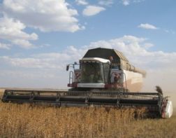 ﻿На полях Пензенской области убрали 95% урожая 