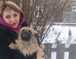 В магазине на КПД убило током домашнюю собаку