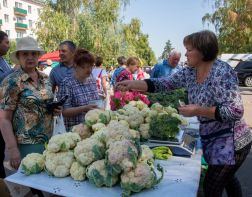 На фестивале садовода пензенцы покупали ежевику и картошку
