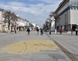 Еще один ТЦ в центре Пензы хочет расшить свои границы