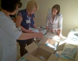 В Пензе отмечается рост пострадавших от укусов клещей