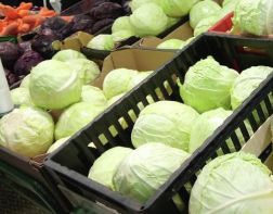 В Пензе из продажи изъято около 1,5 тонн опасных овощей 