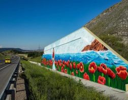 Главная трасса Крыма станет крупнейшей в мире галереей стрит-арта