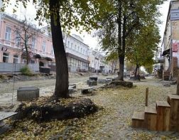 Липы на Московской могут не выжить ﻿