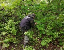 Подозреваемый в убийстве 14-летней девочки дал признательные показания