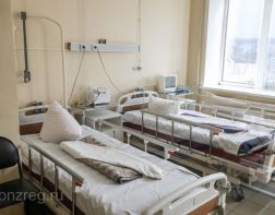 В Пензенской области от коронавируса скончались еще двое больных