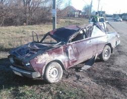 В Пензенской области в опрокинувшемся авто погибли два пенсионера