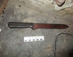 Во время убийства мужчина сломал о потерпевшего клинок ножа 