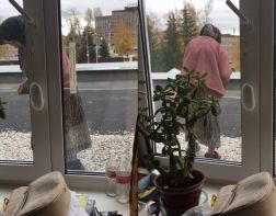 Пензячка: 89-летняя старушка ищет на крыше хлебные крошки