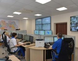 Пензенцы смогут получить консультацию врача он-лайн