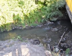 Пензенцам пообещали расчистить ручей Безымянный