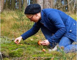 В Пензе появились первые отравившиеся грибами
