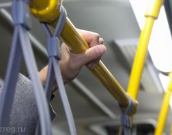 В Пензе с 1 марта вводят новые правила пассажирских перевозок 