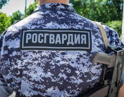 В Пензе задержали разбившего стеклянную дверь хулигана