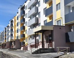 Многодетные семьи в Заре не могут ночью безопасно ходить по улице
