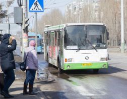Пензенец предлагает раскрасить общественный транспорт в едином стиле 