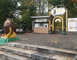 Пензенский зоопарк стал работать по зимнему графику