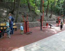 В Пензе планируют продлить обновленную Тропу здоровья