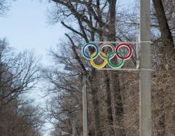 Пензенцы просят избавить Олимпийскую аллею от наркоманов