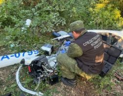 В Бессоновском районе погиб мужчина, летавший на планере