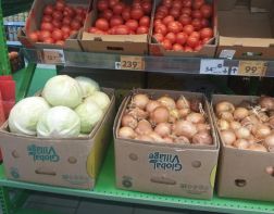 В Пензе продолжают расти в цене овощи борщевой группы