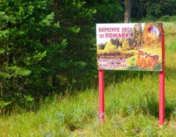 В Пензенской области до 12 октября запретили ходить в лес