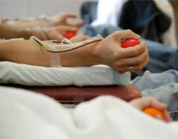 Водители смогут стать донорами крови 